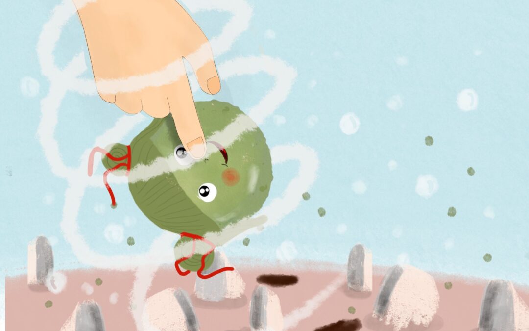 I racconti dei marimo e le quattro stagioni