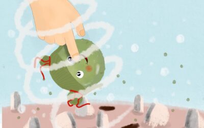I racconti dei marimo e le quattro stagioni