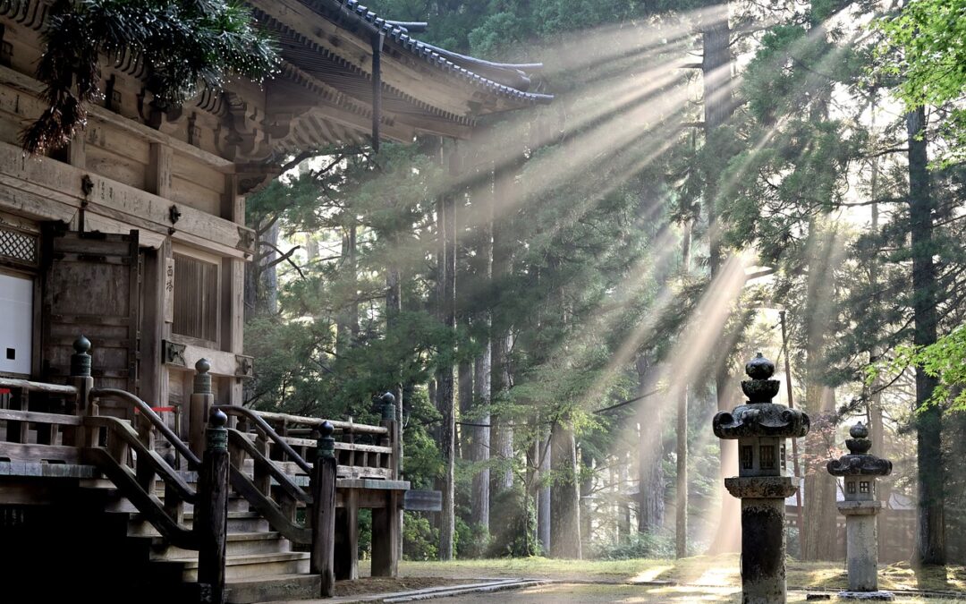 Harukaze: il vento della primavera e il suo significato in Giappone