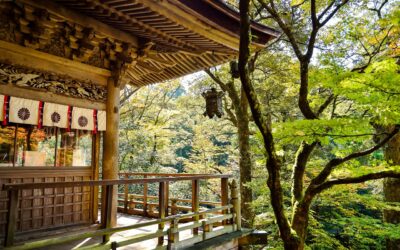Tradizioni giapponesi: oltre l’Hanami