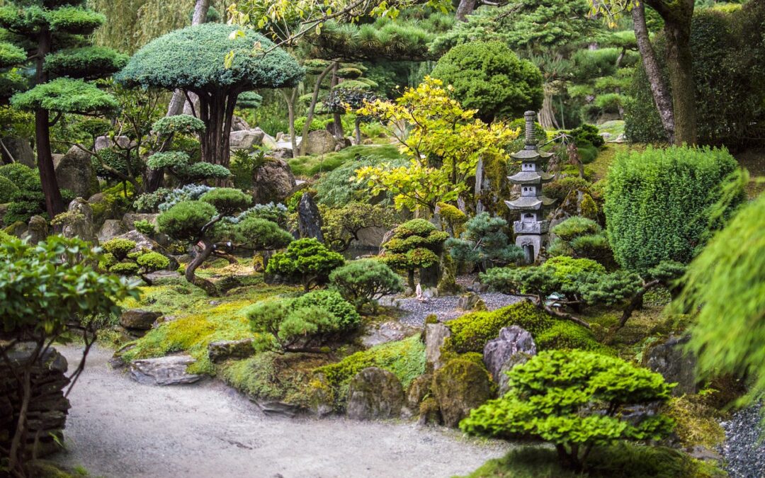 Camminare in un dipinto: la magia dei giardini giapponesi spiegata ai bambini