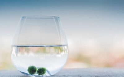 La leggenda dei Marimo: storia da ascoltare, leggere e stampare