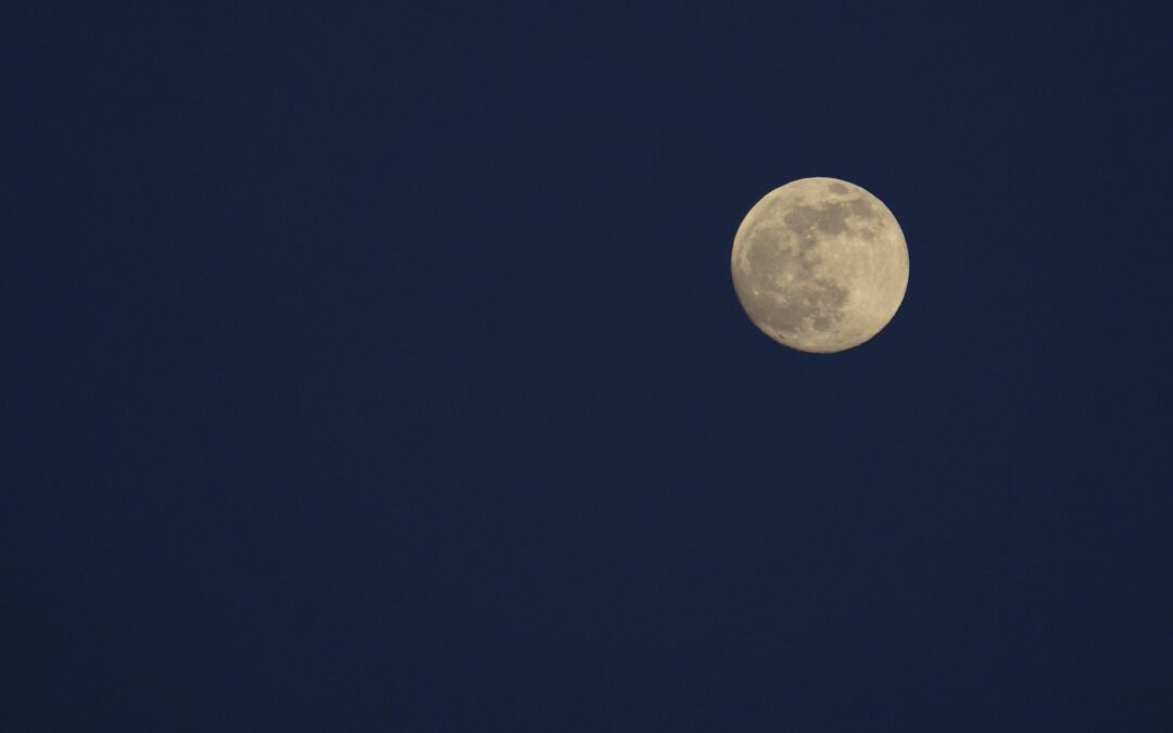 Il coniglio della luna: la leggenda giapponese che incanta grandi e bambini