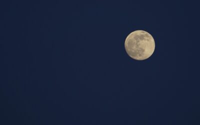 Il coniglio della luna: la leggenda giapponese che incanta grandi e bambini