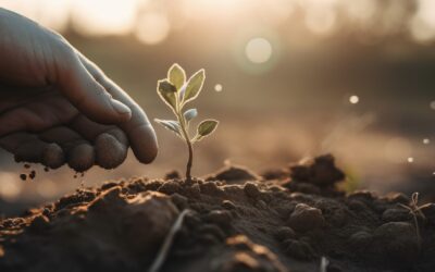 Keichitsu: il giorno in cui la terra si sveglia (insegnare ai bambini ad aspettare il momento giusto)